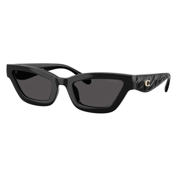 New COACH Cad28 Black Rectangle HC8420U 5002/87 Sunglasses Women - Picture 1 of 6